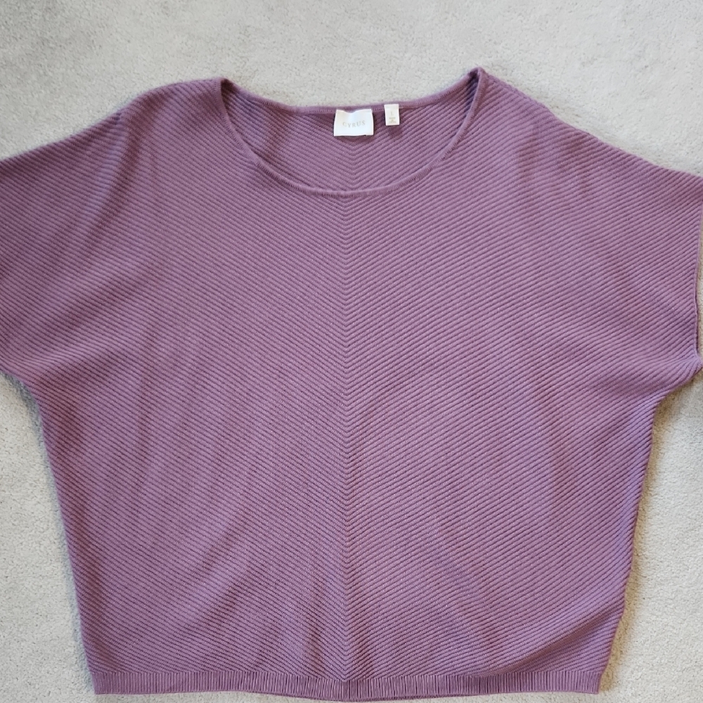 Light Mauve Short Sleeve Dolman Sweater - Large